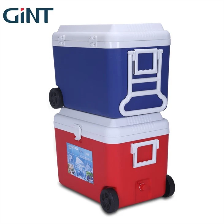 Large Cooler Box